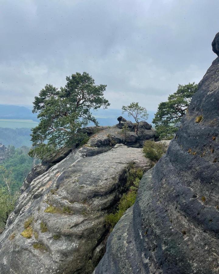 Bergblick Apartment SäChsische Schweiz Зебниц Екстериор снимка